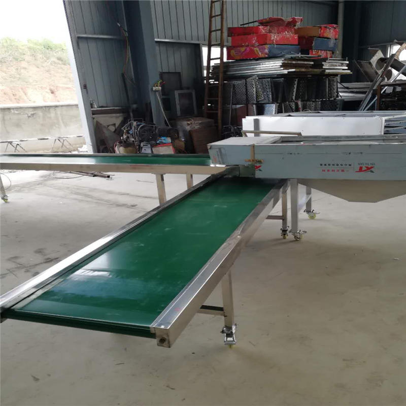 食用菌筛选，食用菌香菇木耳的分选